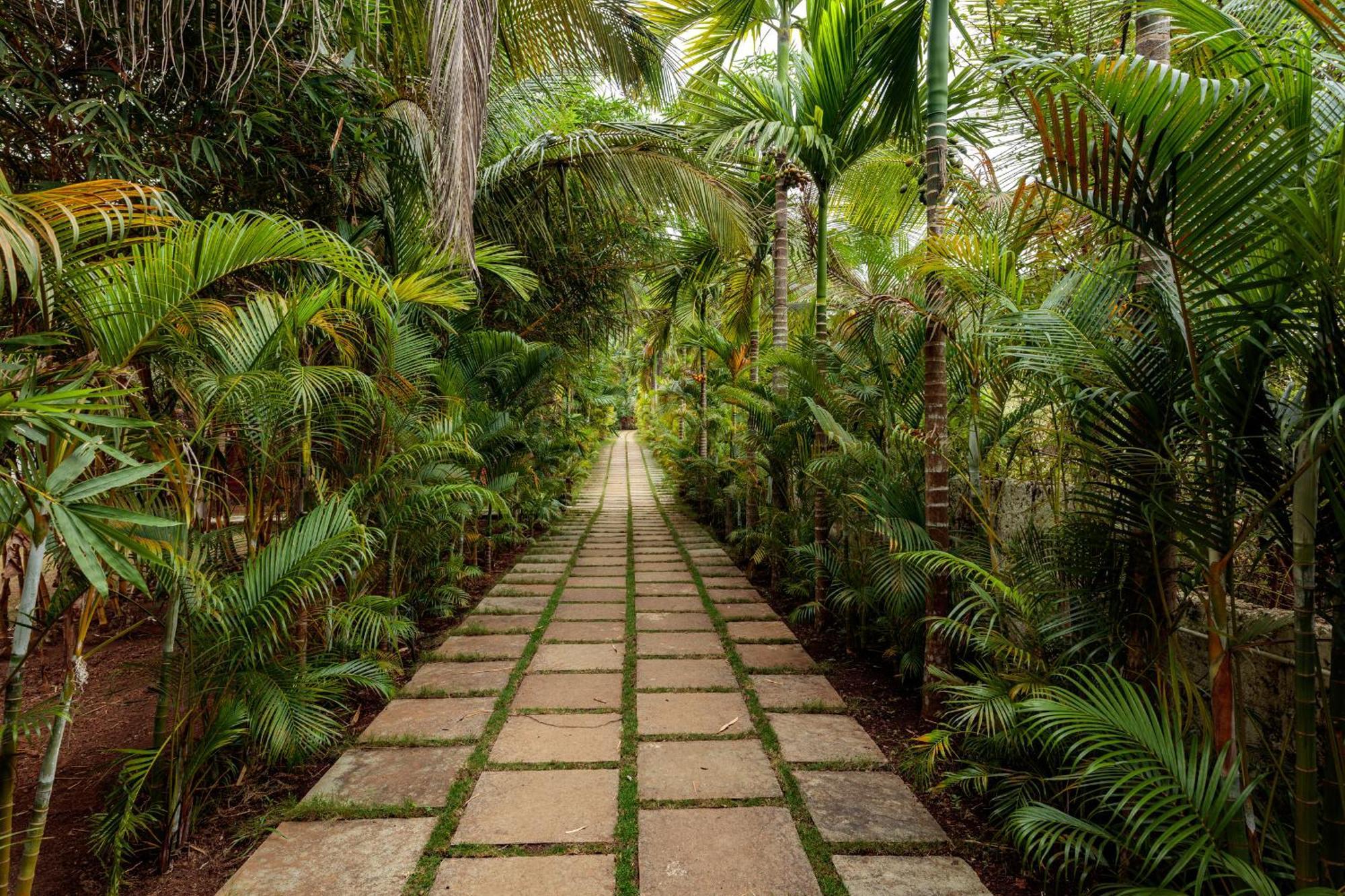 Wild Berry Resort Agonda Canacona Eksteriør bilde